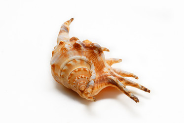 Similar image 732793