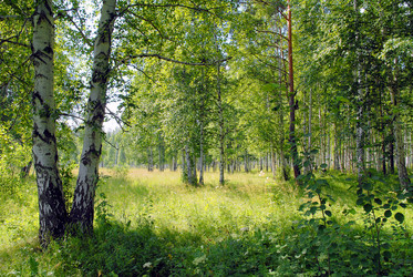 Similar image 732797