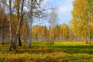 Similar image 732798