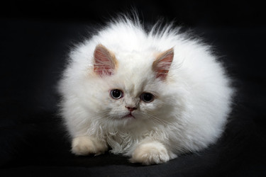 Similar image 732799