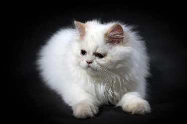 Similar image 732801