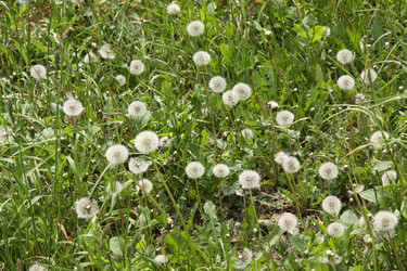 Similar image 732802