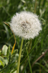 Similar image 732805