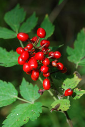 Similar image 732812