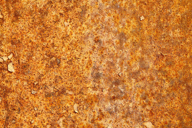 Similar image 732833