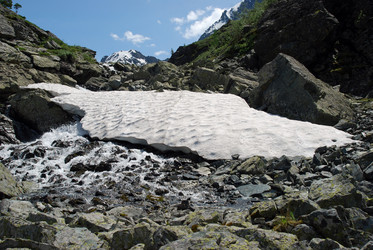 Similar image 732844