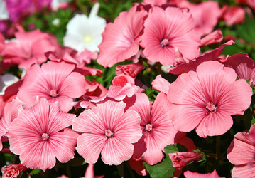 Similar image 732944