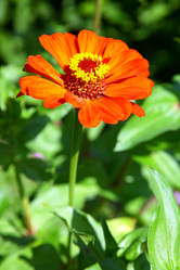 Similar image 732967