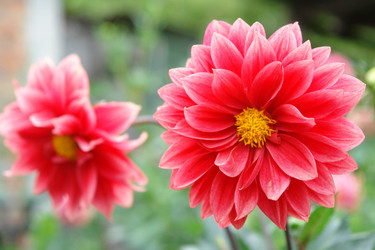 Similar image 733061