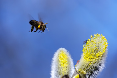 Similar image 733076