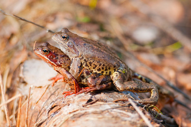 Similar image 733125