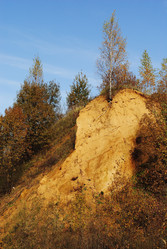 Similar image 733223