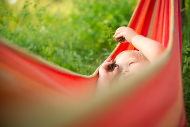 Similar image 733309