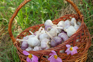 Similar image 733403