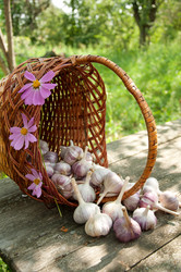 Similar image 733426