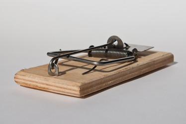 Similar image 733427