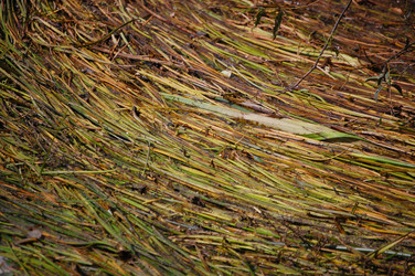 Similar image 733436