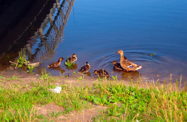 Similar image 733446