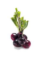 Similar image 733458