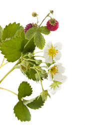 Similar image 733472