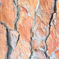 Similar image 733513