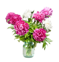 Similar image 733538