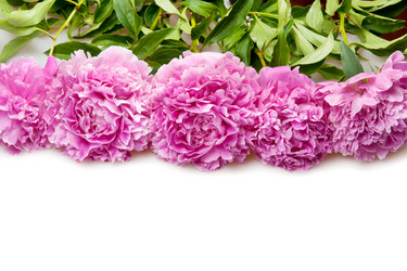 Similar image 733539