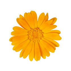 Similar image 733540