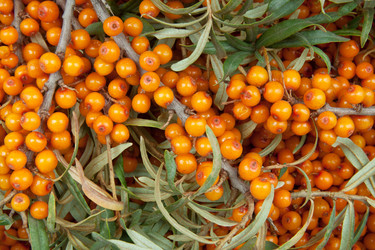 Similar image 733545