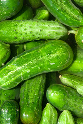 Similar image 733547