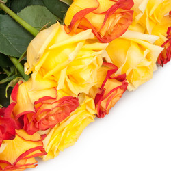 Similar image 733557