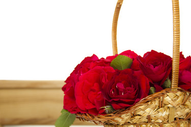 Similar image 733572