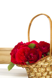 Similar image 733573