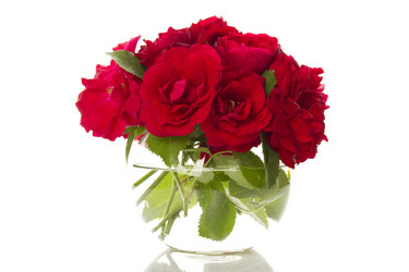 Similar image 733580