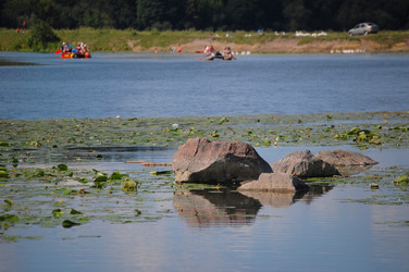 Similar image 733582