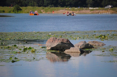 Similar image 733583