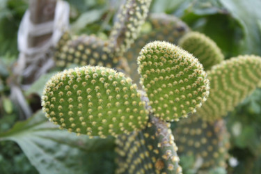 Similar image 733611