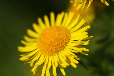 Similar image 733619