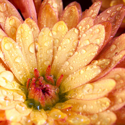 Similar image 733634