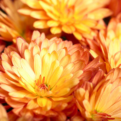 Similar image 733635