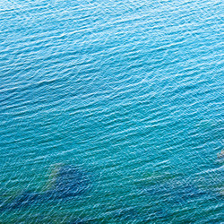 Similar image 733644