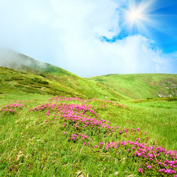 Similar image 733653