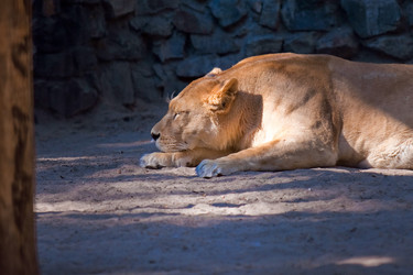 Similar image 733656