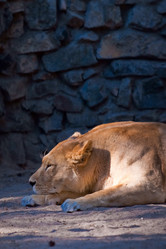 Similar image 733657