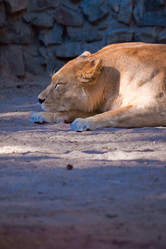 Similar image 733658