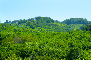 Similar image 733665