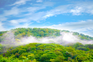 Similar image 733666