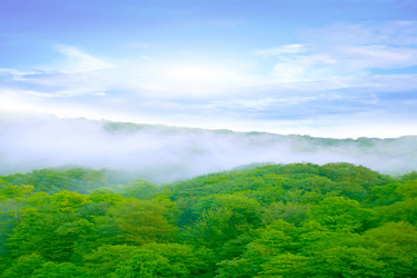 Similar image 733667