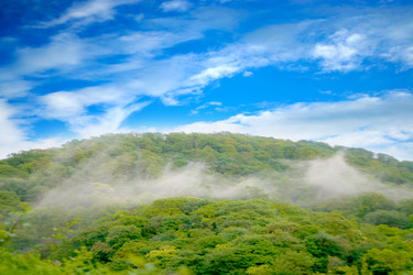 Similar image 733668