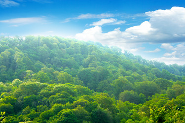 Similar image 733669